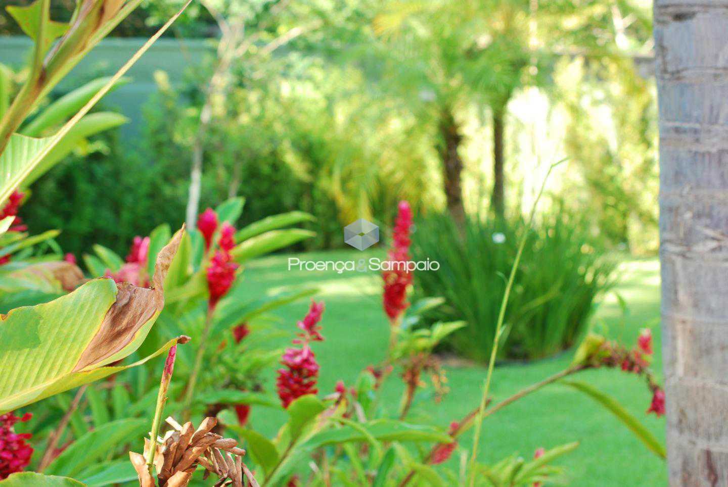 FOTO6 - 8