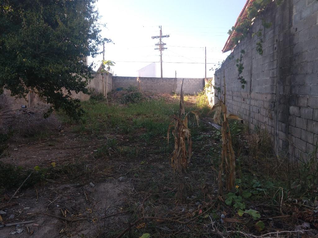 FOTO0 - 1