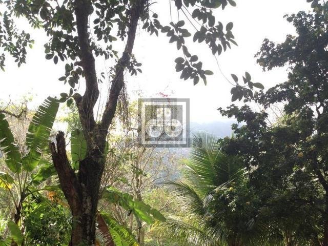FOTO_15 - 15
