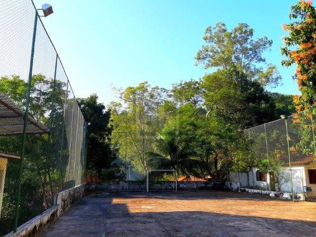 FOTO_19 - 19