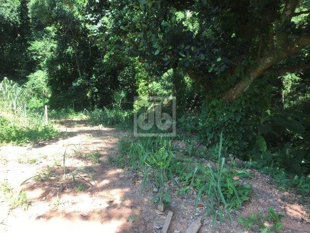 FOTO_17 - 17