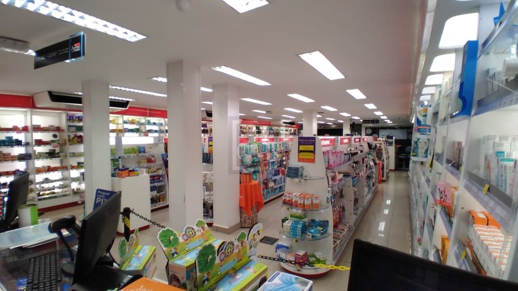 FOTO_8 - 8
