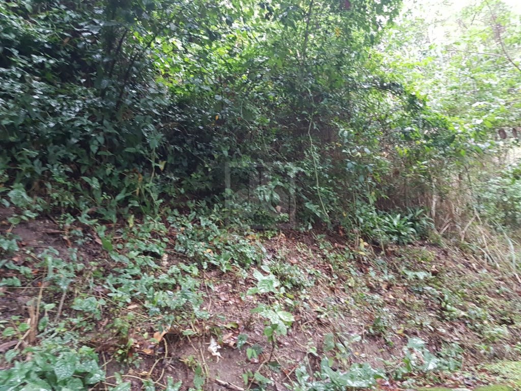 FOTO_10 - 10