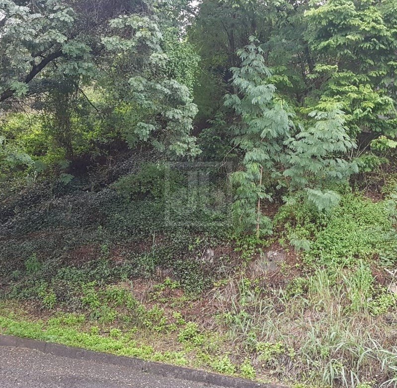 FOTO_3 - 3