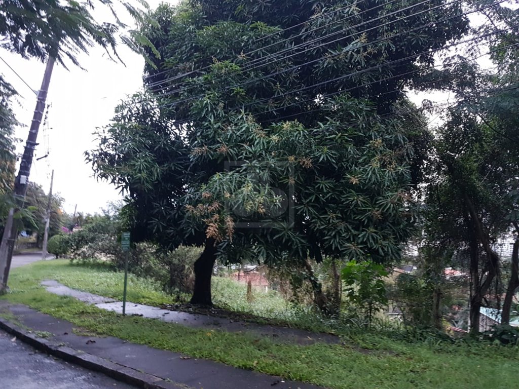 FOTO_7 - 7