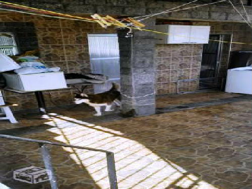 FOTO5 - 5
